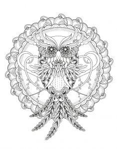 Owls 235x300 Owls