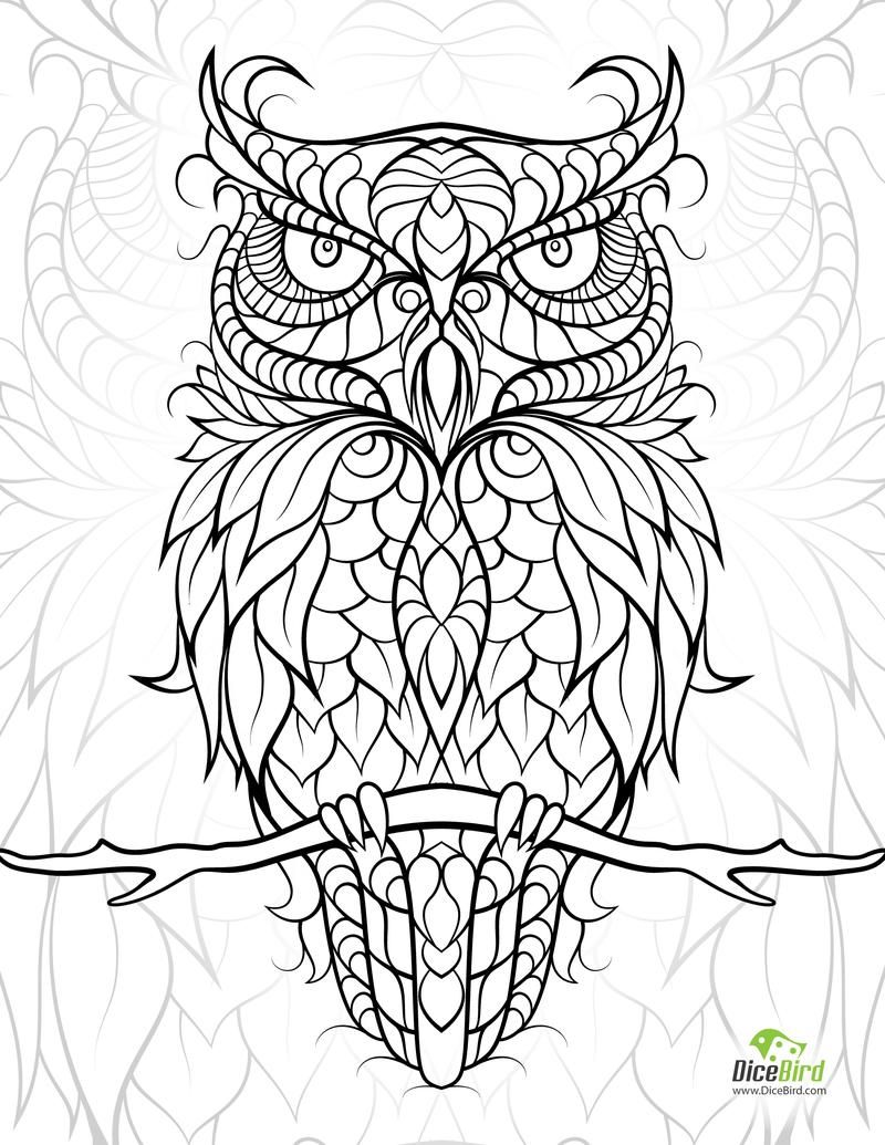 Diceowl Free Printable Adult Coloring Pages Adult Coloring, Free 800x1035 Diceowl Free Printable Adult Coloring Pages Adult Coloring, Free