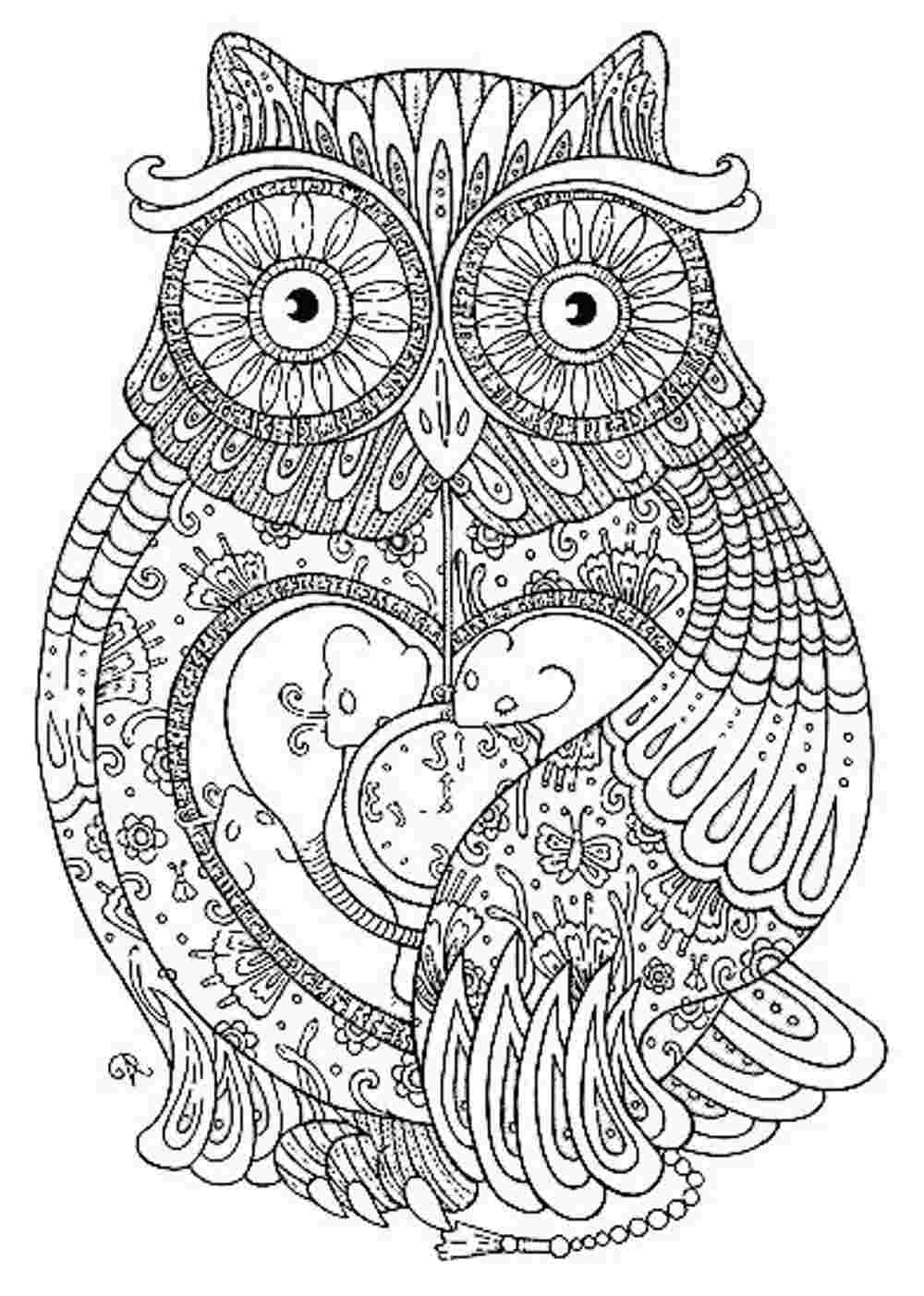 Awesome And Beautiful Owl Coloring Pages For Adults Printable Kids 1000x1403 Awesome And Beautiful Owl Coloring Pages For Adults Printable Kids