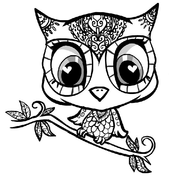 Owl Color Pages 600x607 Owl Color Pages