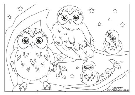 Owl Colouring Sheets Coloring Pages 460x325 Owl Colouring Sheets Coloring Pages