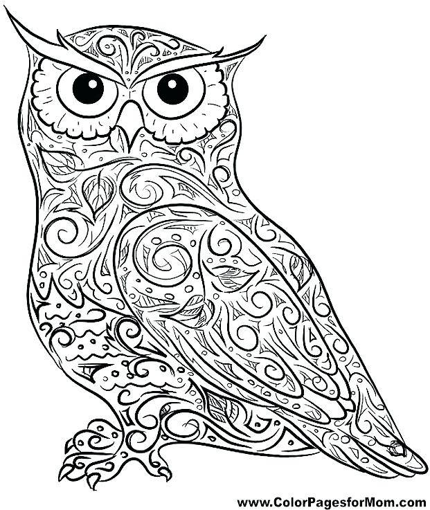 621x737 Cute Owl Coloring Pages For Adults To Print In Kids With Best