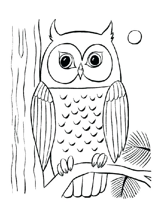 560x750 Hard Owl Coloring Pages Hard Coloring Pages 9 Coloring Pages