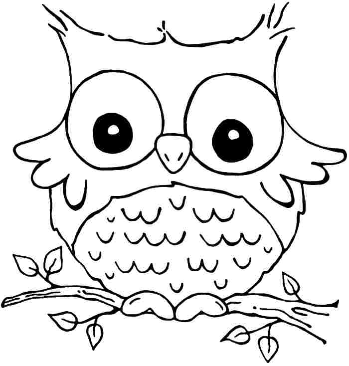 700x734 Owl Coloring Sheets Printable