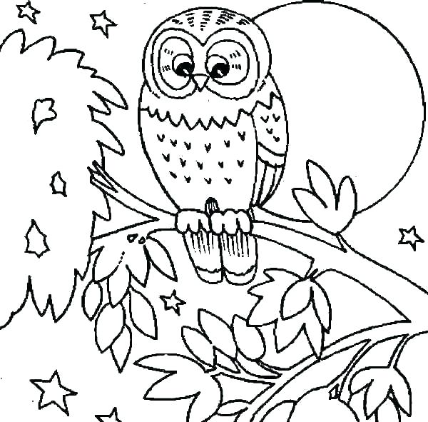 Owl Coloring Pages For Kids at GetColorings.com | Free printable ...