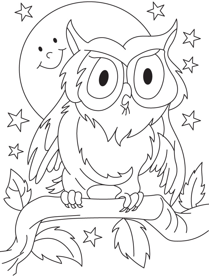 720x954 Owl Coloring Pages For Preschoolers Coloring Pages For Kids