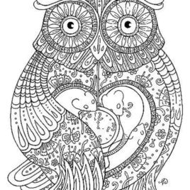 268x268 Owl Coloring Pages For Adults Printable Kids Colouring Pages