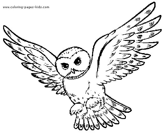 525x429 Smartness Design Owl Coloring Pages Free Printable Best 25 Ideas