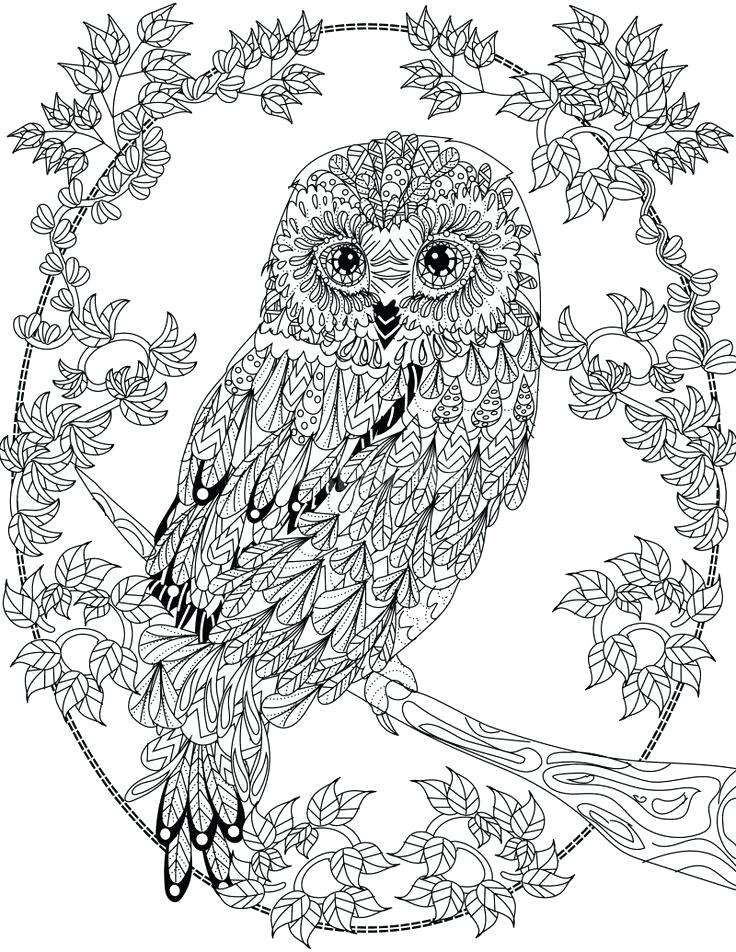 736x952 Owl Colouring In Free Online Owl Coloring Pages For Adults Snowy