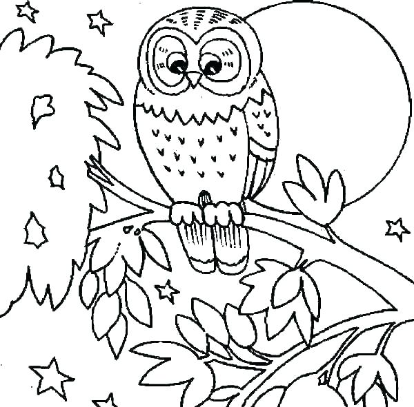 600x591 Owl Coloring Pages For Kids Shippa.co