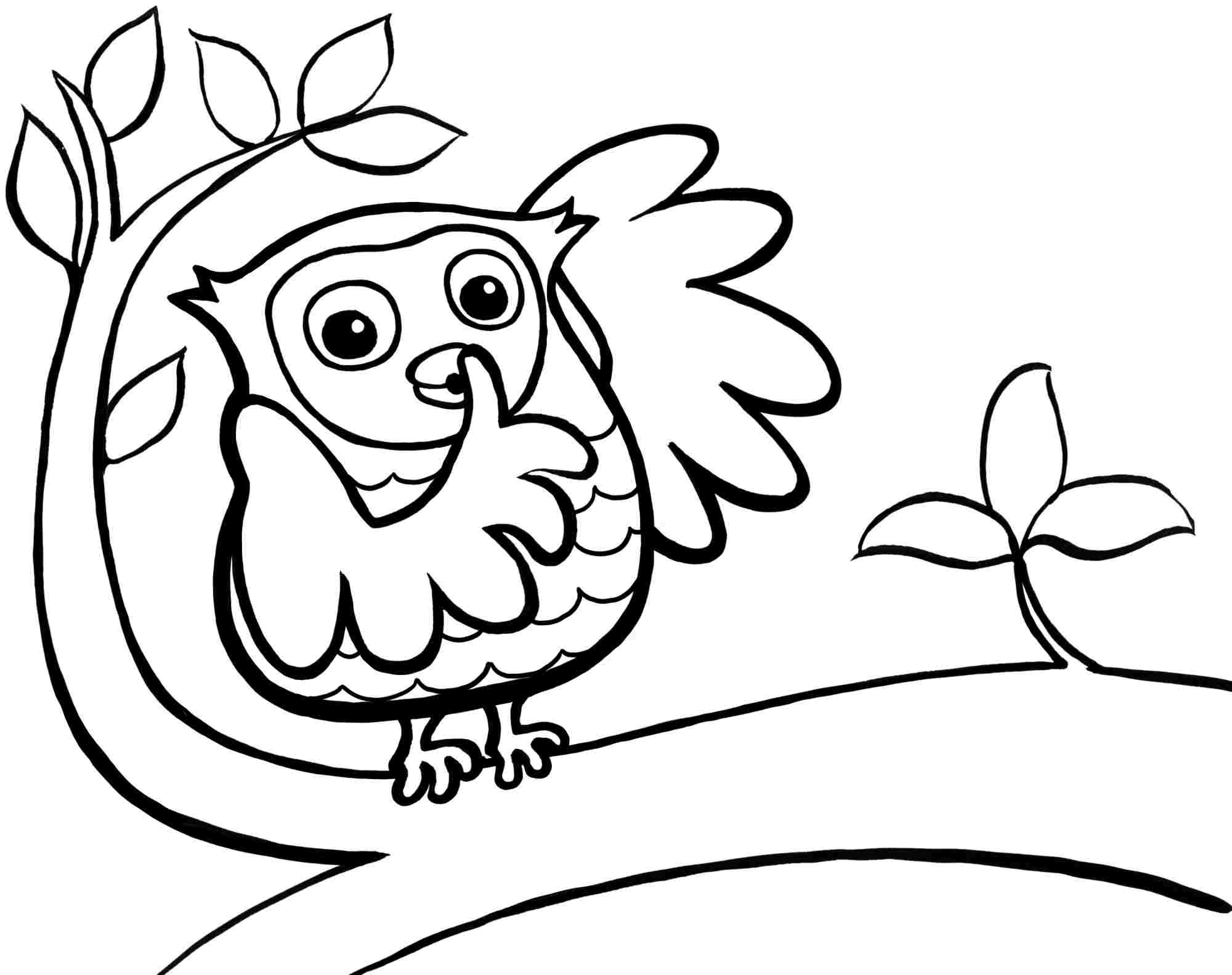 2000x1583 Inspiring Owl Printable Coloring Pages 79 For Preschoolers