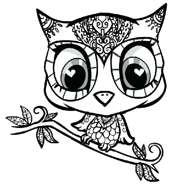 600x607 Coloring Pages Owl Preschool Coloring Pages Owls
