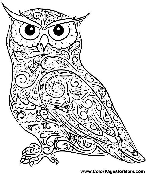 621x737 Free Owl Coloring Pages 14 Free Owl Coloring Pages Free Printable
