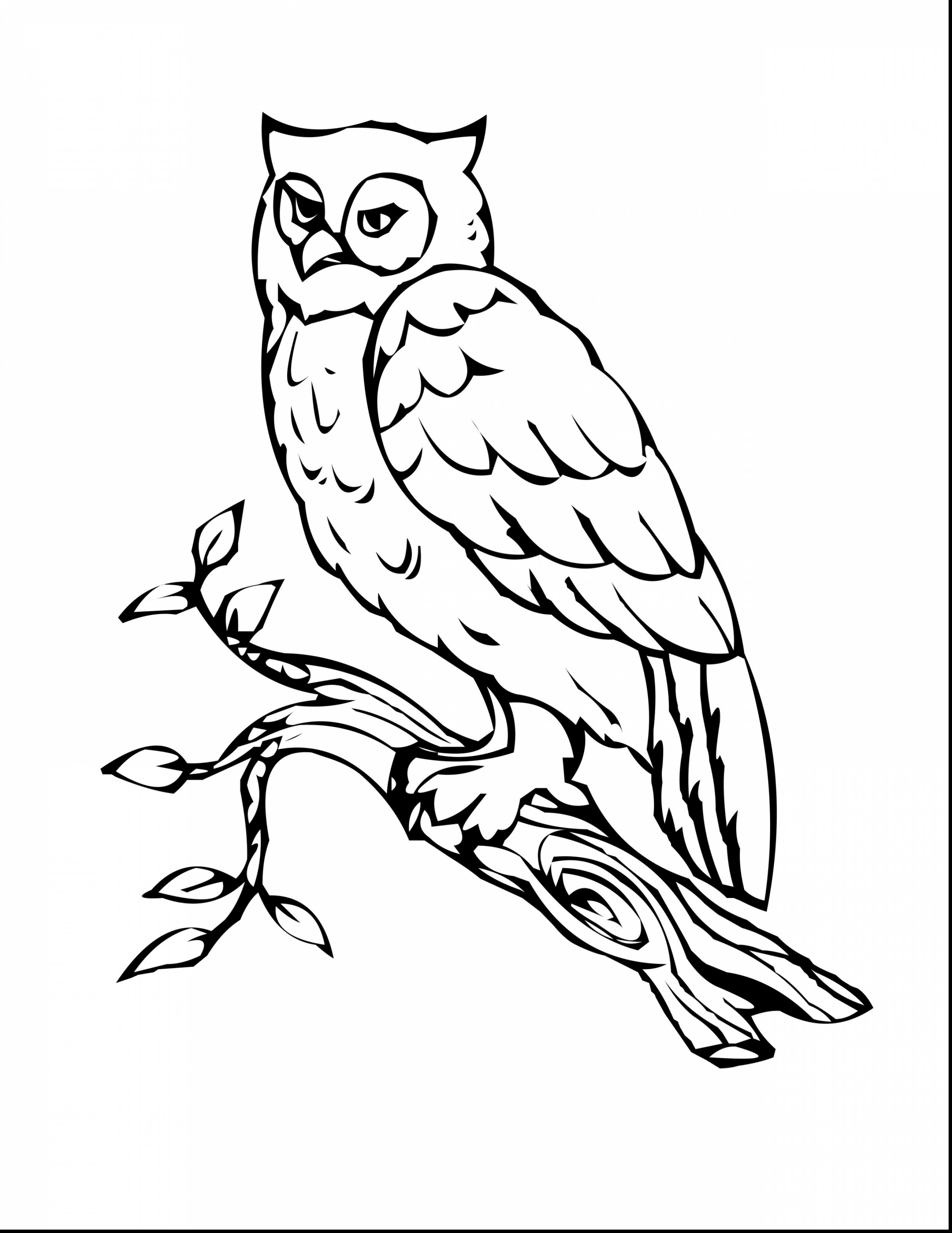 2805x3630 Immediately Owl Coloring Pages For Adults Awes