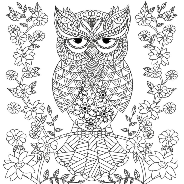 736x736 Owl Coloring Pages For Adults. Free Detailed Owl Coloring Pages