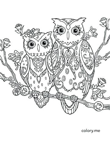 360x490 Baby Owl Coloring Page Owl Print Out Coloring Pages Owl Coloring