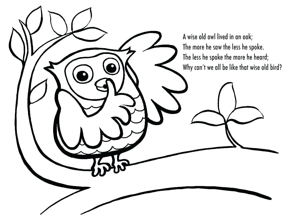 990x765 Owl Coloring Pages To Print Unique Owl Coloring Pages For Adults