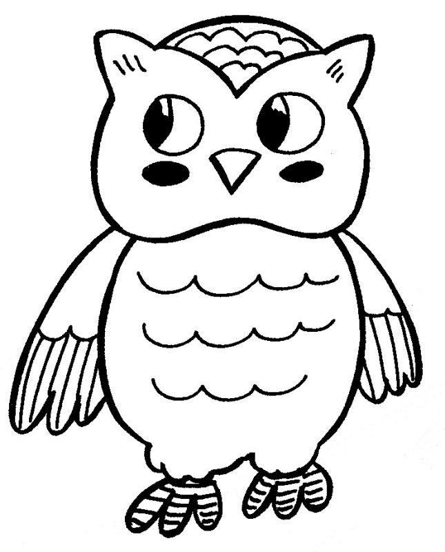 645x800 Pictures Of Owls To Color Printable Owl Coloring Pages Coloring Me
