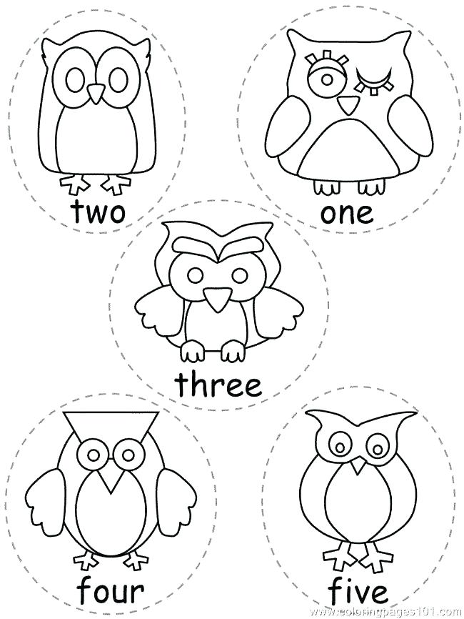 650x866 Printable Owl Coloring Pages As Well As Printable Owl Coloring