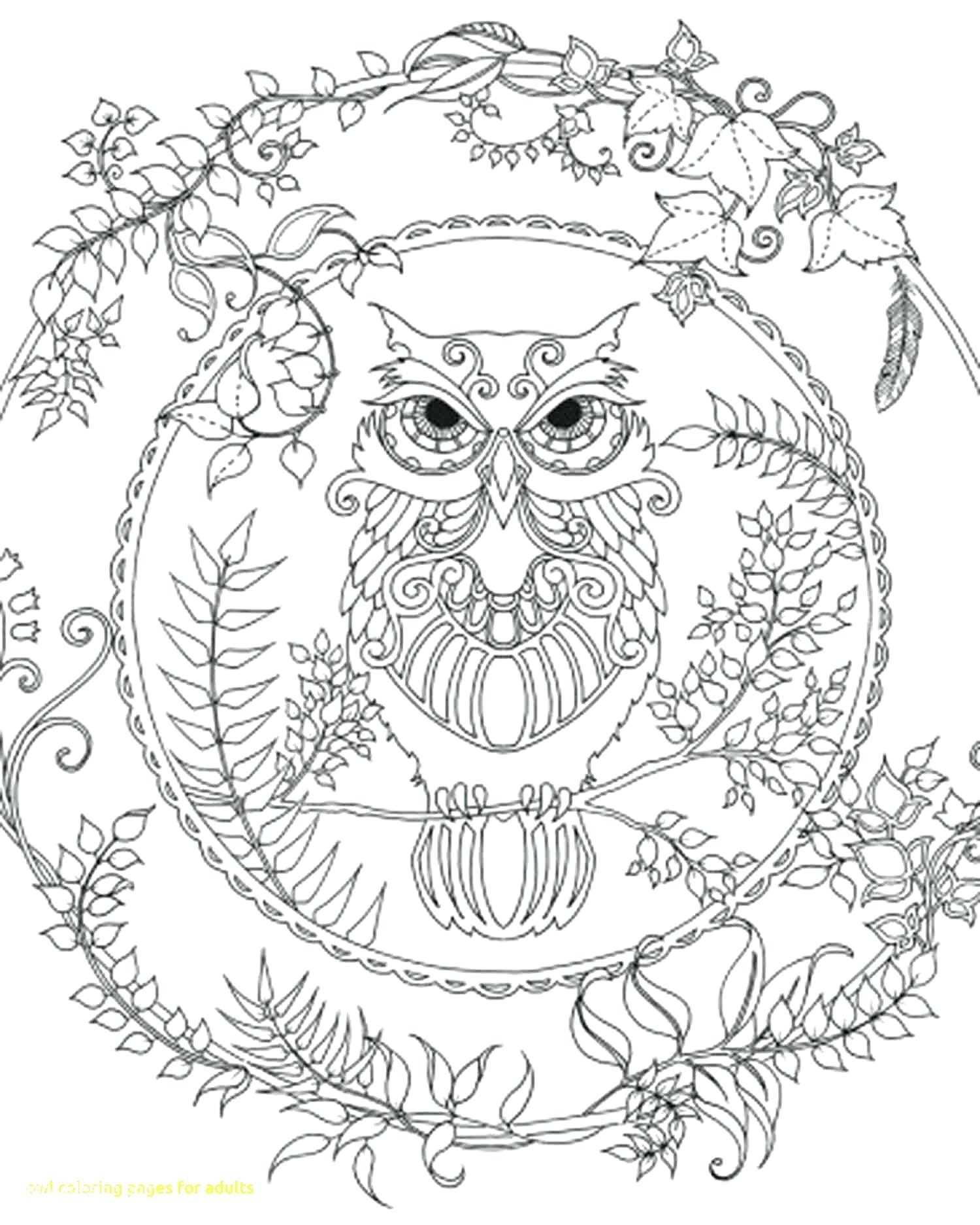 1500x1874 Fresh Coloring Pages Coloring Pages Of Owls Coloring Barn Free