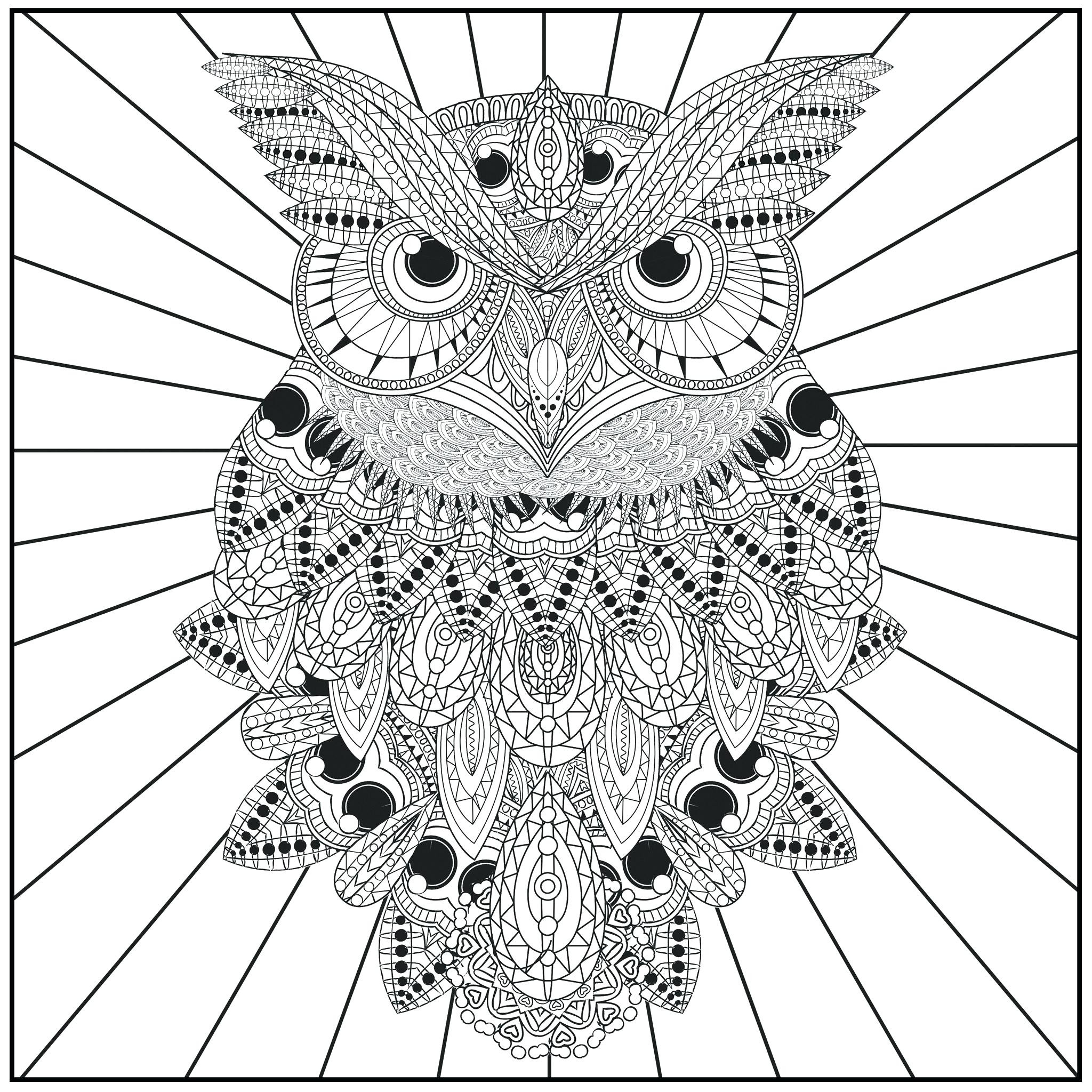 2048x2048 Fresh Owl Mandala Coloring Pages Design Printable Sheet Beauteous