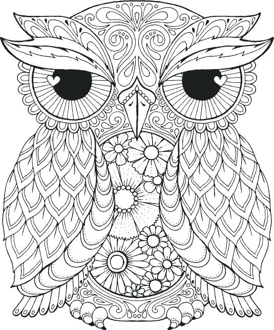 535x645 Owl Mandala Coloring Pages Printable Draw Background Page For Best