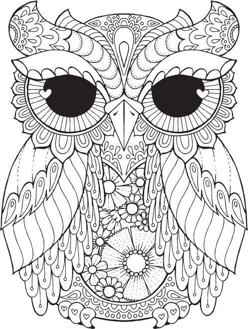 497x659 Owl Pictures To Colour In Best 25 Owl Coloring Pages Ideas