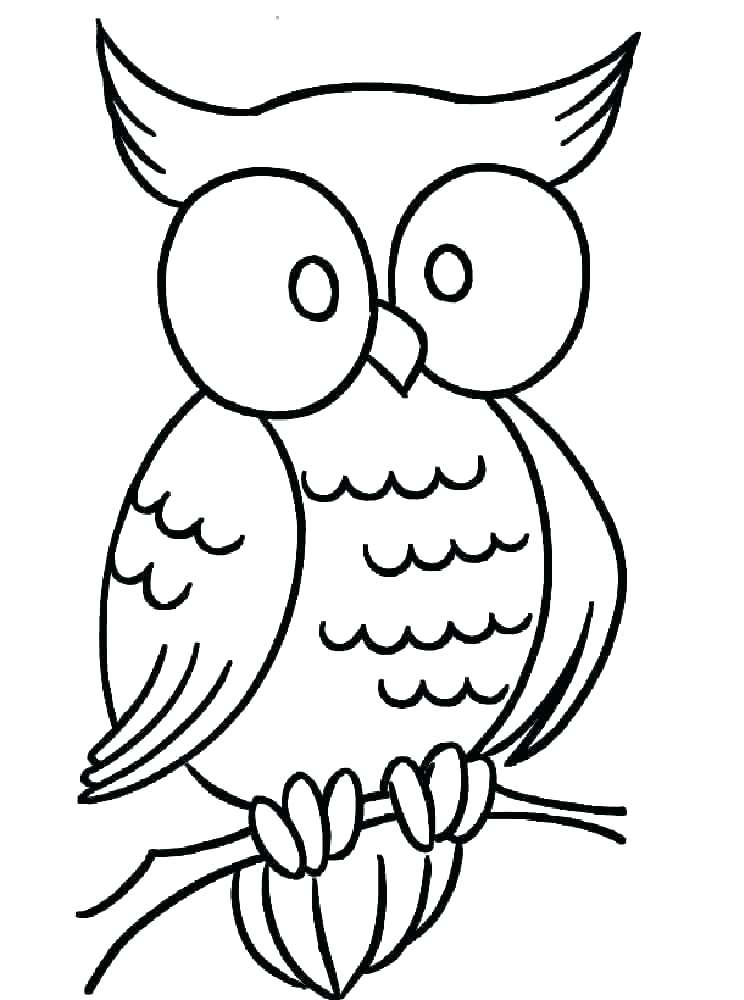 Owl Print Out Coloring Pages at GetColorings.com | Free printable ...