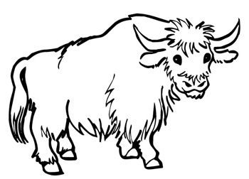 Musk Ox Coloring Page at GetColorings.com | Free printable colorings