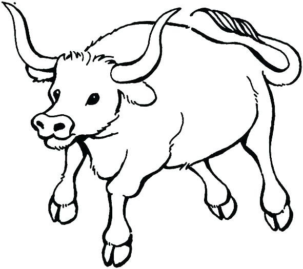 Ox Coloring Page at GetColorings.com | Free printable colorings pages ...