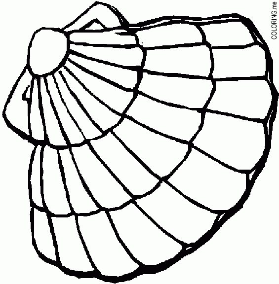 565x576 Shell Coloring Pages Unique Oyster Shell Coloring Page Coloring