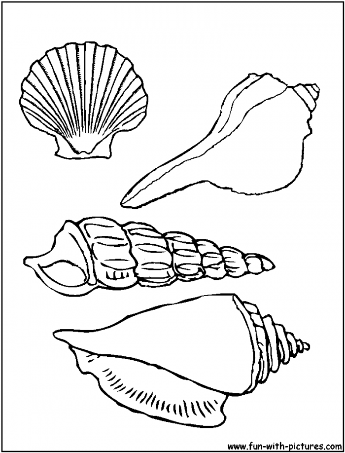 Sea Shells Coloring Pages By The Sea Shell, Cricut 700x918 Sea Shells Coloring Pages By The Sea Shell, Cricut