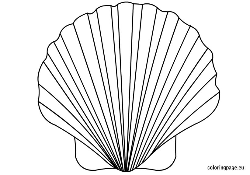 Shell Coloring Page 822x575 Shell Coloring Page