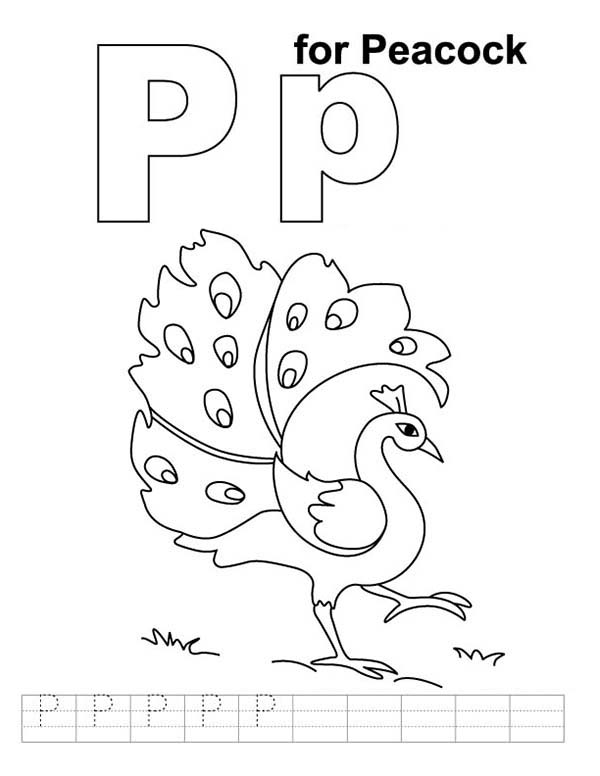P Coloring Pages Letter P C Gallery One Letter P Coloring Pages 600x776 P Coloring Pages Letter P C Gallery One Letter P Coloring Pages