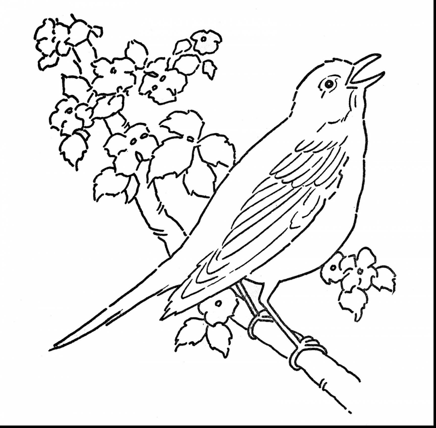 1760x1728 Red Bird Coloring Page