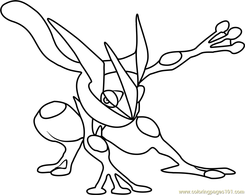Greninja Pokemon Coloring Page 800x639 Greninja Pokemon Coloring Page