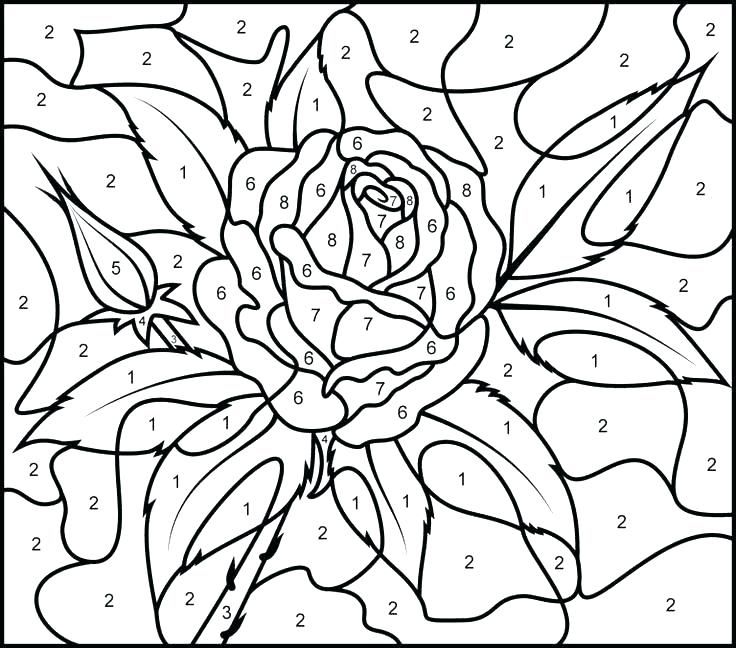 736x648 Complex Color By Number Flowers Coloring Pages Free Complex Color