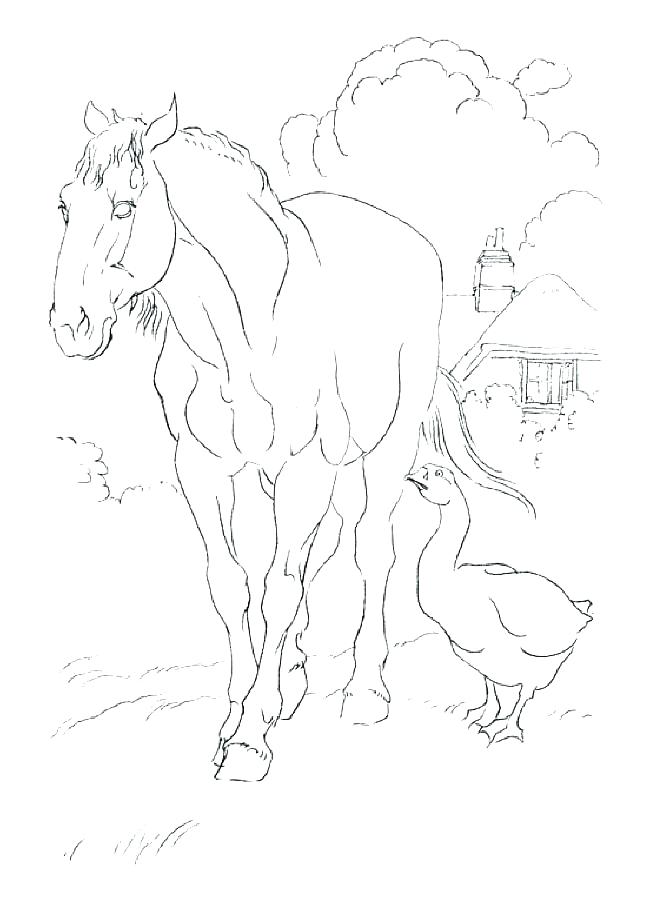 Cute Horse Coloring Pages Baby Horse Coloring Pages Cute Horse 650x904 Cute Horse Coloring Pages Baby Horse Coloring Pages Cute Horse