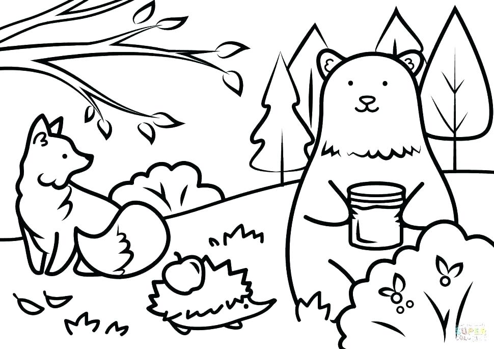Paint Coloring Pages Anatomy Coloring Pages Free Animals Coloring 970x685 Paint Coloring Pages Anatomy Coloring Pages Free Animals Coloring