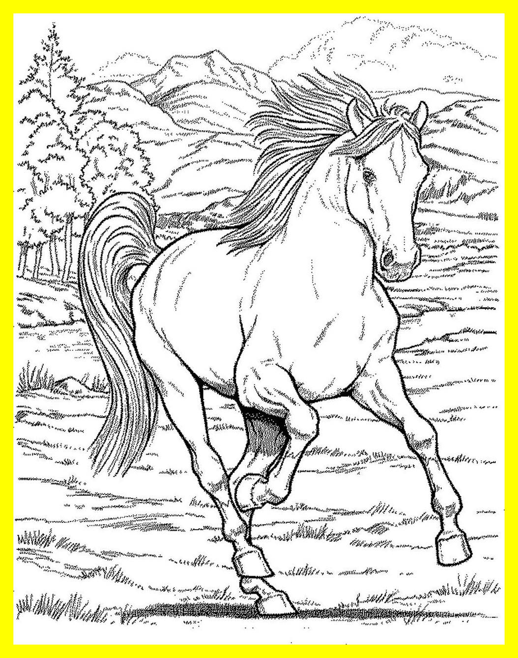 Appealing Paint Horse Gypsy Vanner Coloring Pages Picture 1054x1339 Appealing Paint Horse Gypsy Vanner Coloring Pages Picture