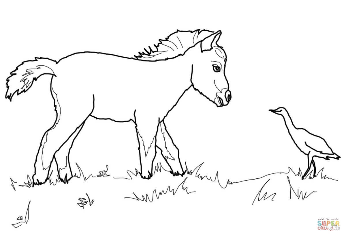 Paint Horse Grazing Coloring Page Within 4 1200x820 Paint Horse Grazing Coloring Page Within 4