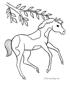 Squirrel Coloring Pages Pre K Activity Pagesalphabetabc 236x288 Squirrel Coloring Pages Pre K Activity Pagesalphabetabc