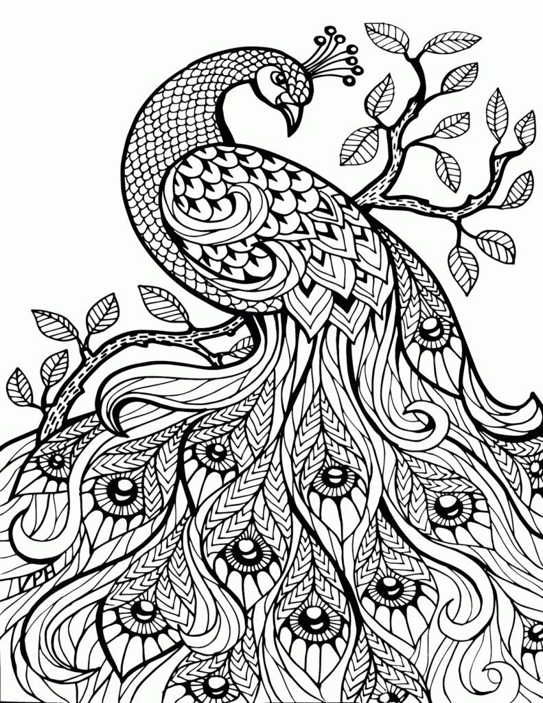 Printable Adult Coloring Pages Paisley 10 H Stress Relief For 6 791x1024 Printable Adult Coloring Pages Paisley 10 H Stress Relief For 6