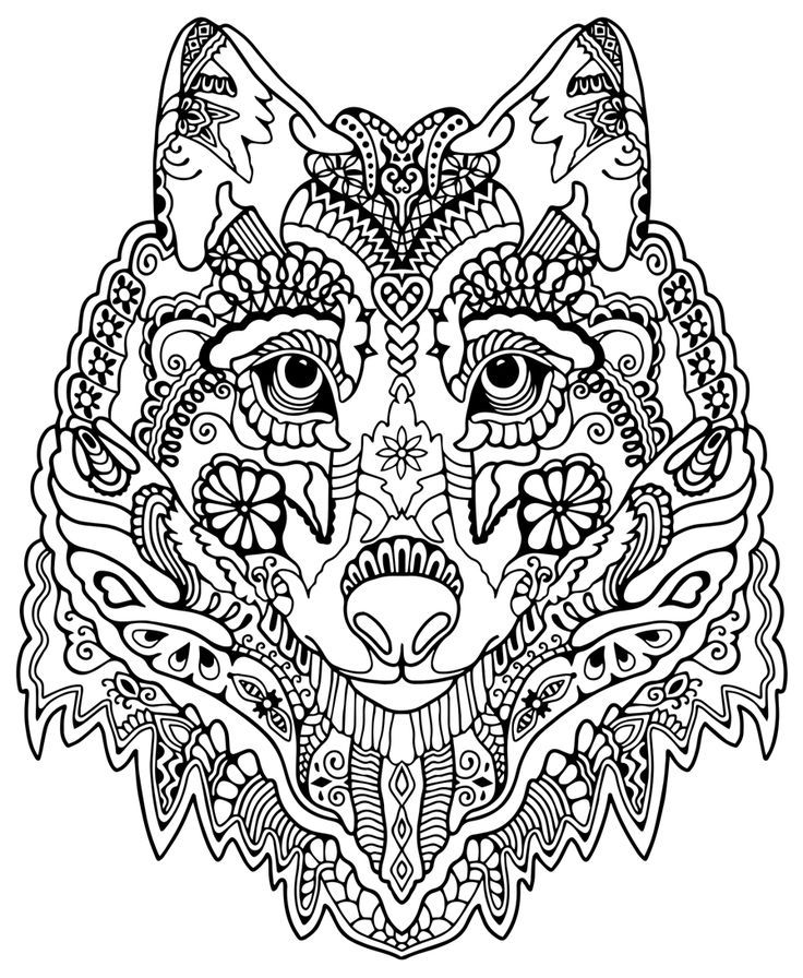 736x896 Adult Coloring Pages Animals
