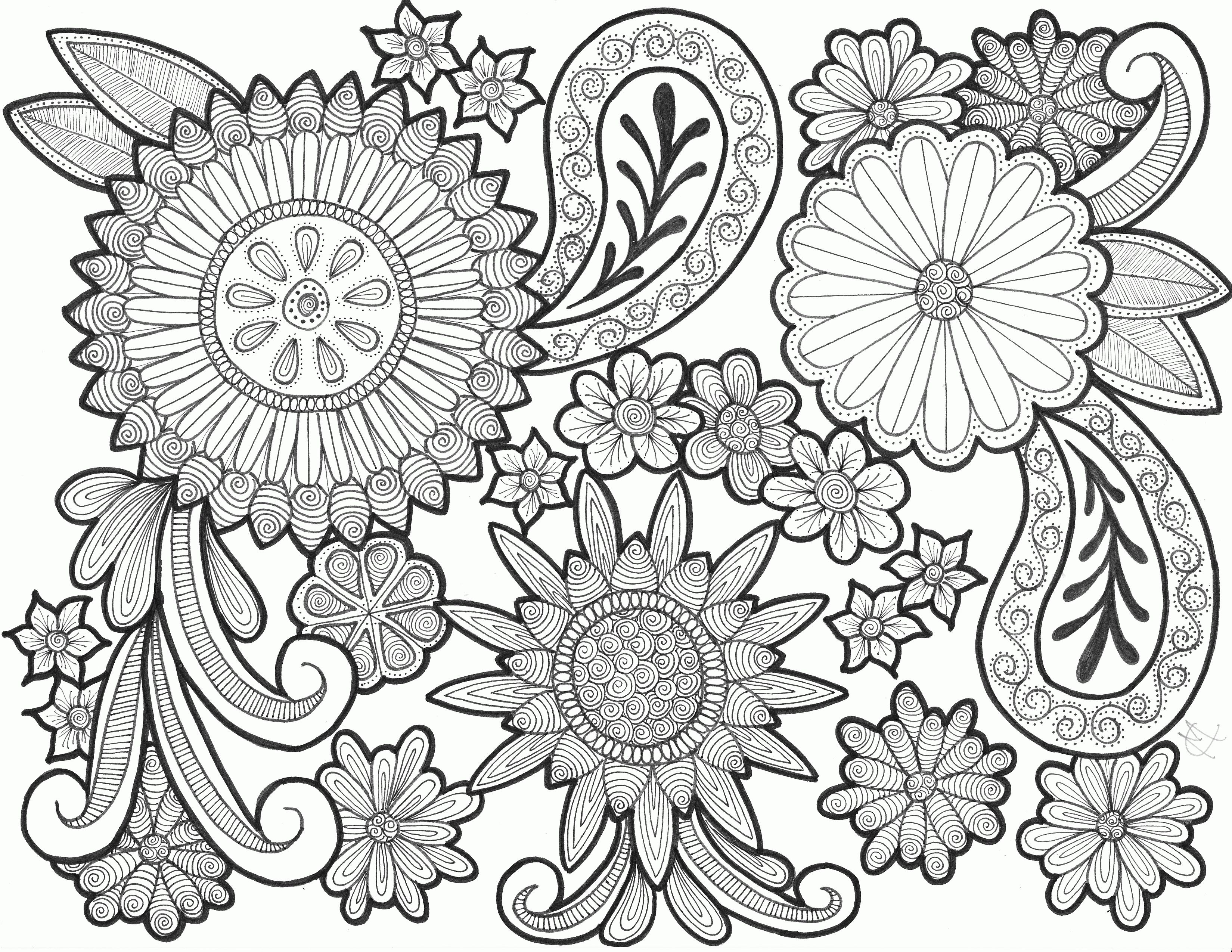 Paisley Coloring Pages 3299x2549 Paisley Coloring Pages