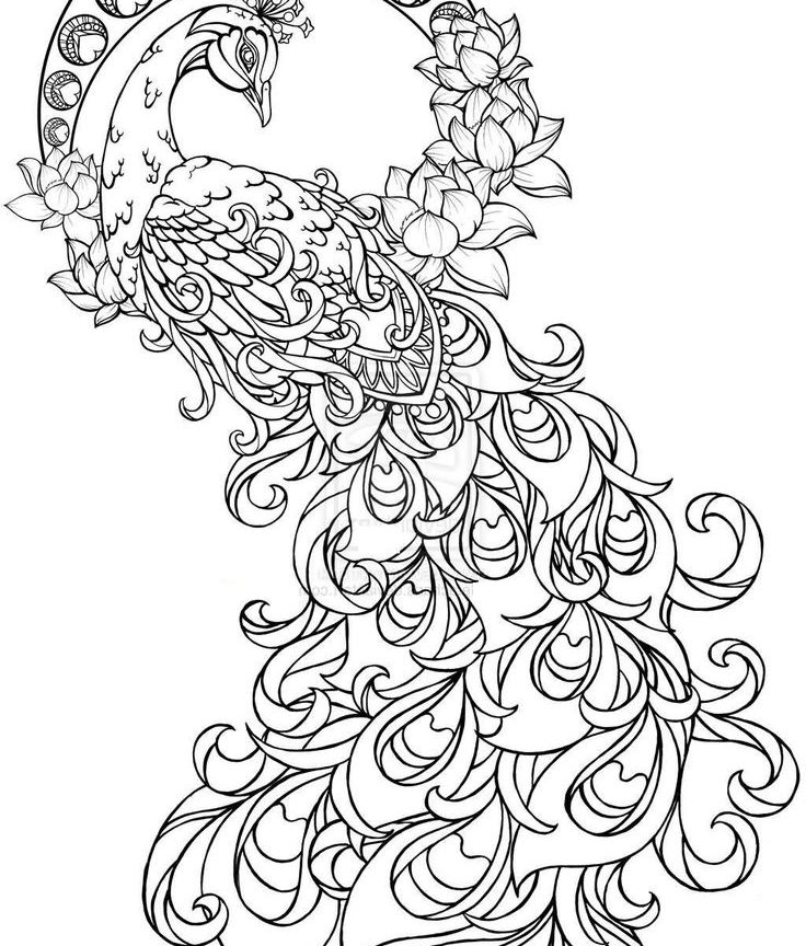 Paisley Hearts And Flowers Anti Stress Coloring Wonderful Page 736x864 Paisley Hearts And Flowers Anti Stress Coloring Wonderful Page
