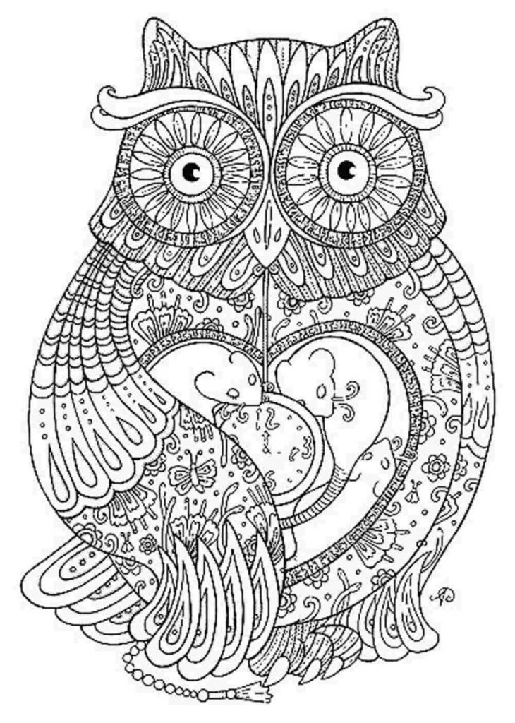 Printable Paisley Owl Coloring Pages For Adults To Print 730x1024 Printable Paisley Owl Coloring Pages For Adults To Print