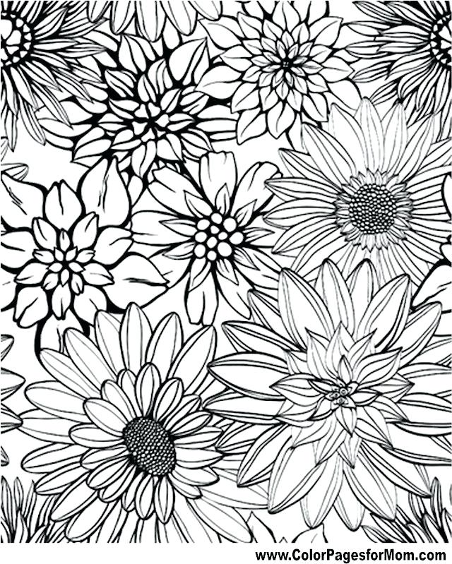 640x799 Luxury Adult Flower Coloring Pages Or Best Flower Coloring Pages