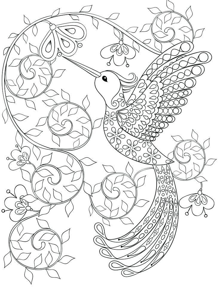 Coloring Pages Free For Adults Bird Coloring Page Gorgeous Free 736x971 Coloring Pages Free For Adults Bird Coloring Page Gorgeous Free