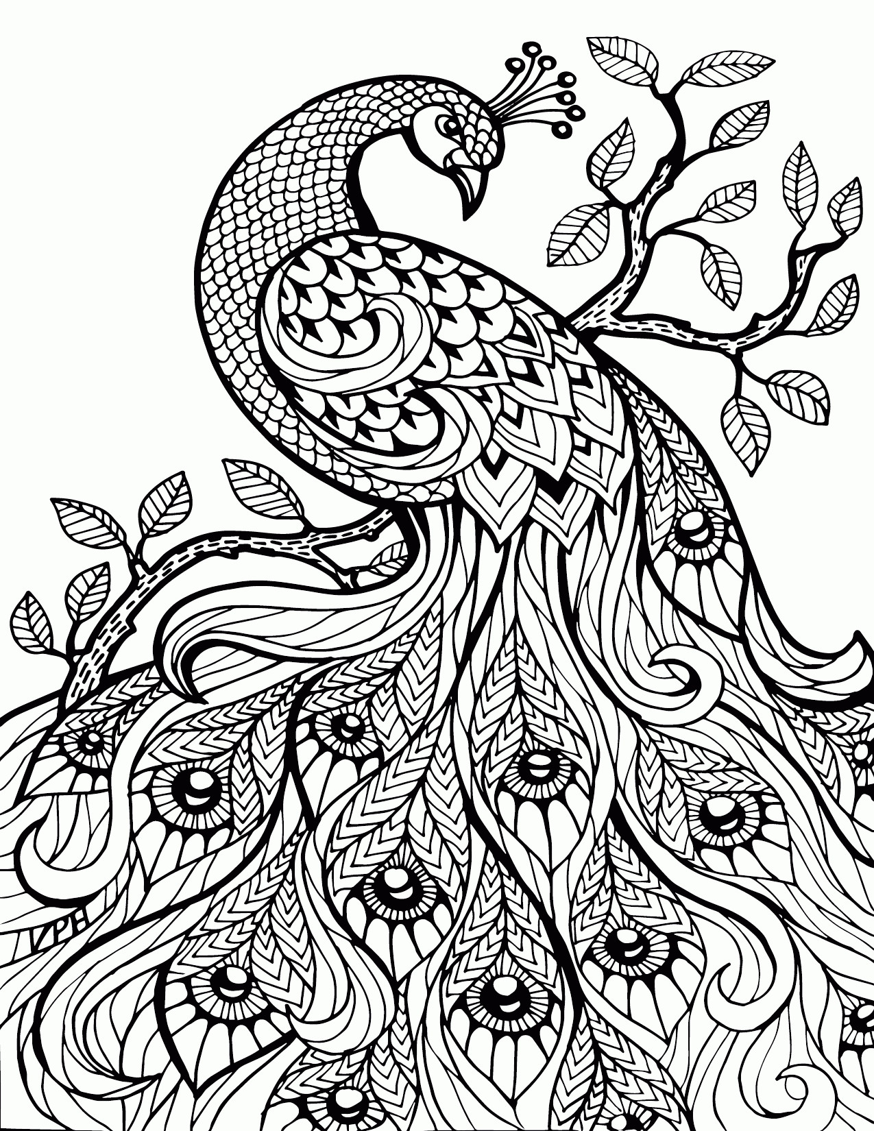 Free Printable Paisley Coloring Pages For Adults459329 Girls Fair 1275x1650 Free Printable Paisley Coloring Pages For Adults459329 Girls Fair